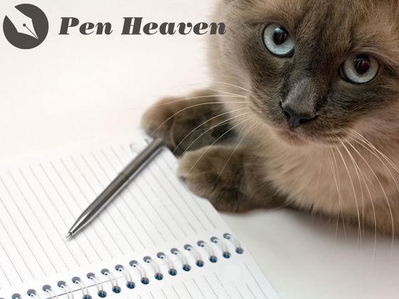 Play Our Pen Finder Game